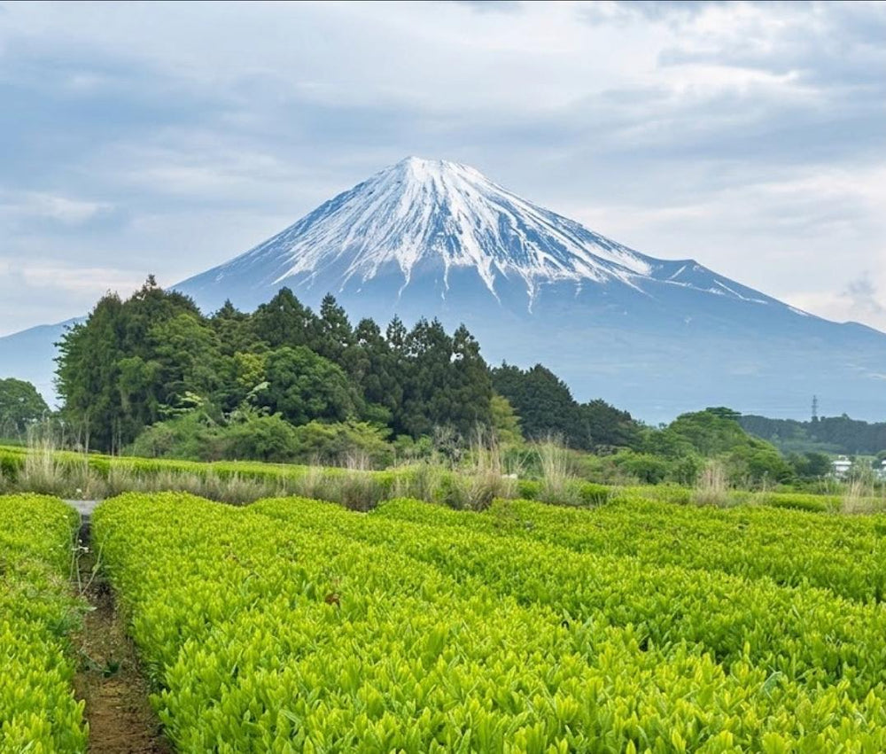 The same matcha the cafes use — now for you